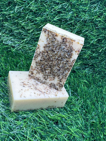Oregano Soap
